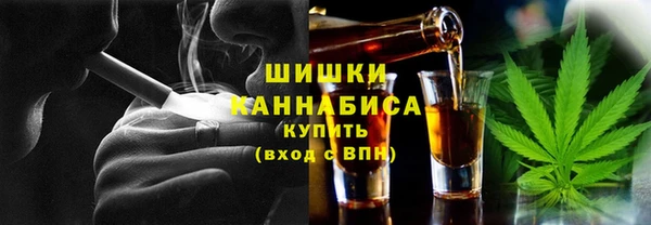 PSILOCYBIN Осинники