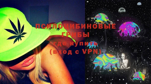 PSILOCYBIN Осинники