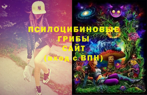 PSILOCYBIN Осинники