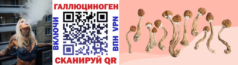 Галлюциногенные грибы мухоморы  Власиха 